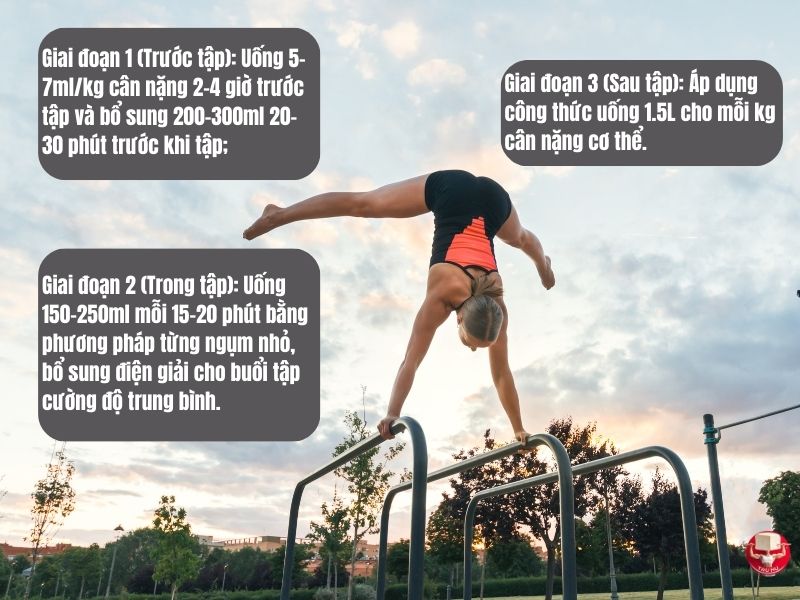 Chiến lược hydrat hóa hiệu quả được chia thành 3 giai đoạn có hệ thống với yêu cầu riêng biệt.