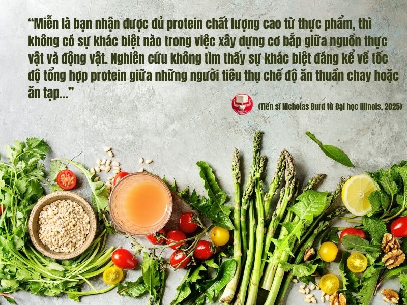 Calisthenics thuần chay: Bí kíp xây dựng cơ bắp và phục hồi hiệu quả từ thực vật 13 Nghiên cứu cho thấy không có sự khác biệt về xây dựng cơ bắp giữa người ăn chay và người ăn tạp