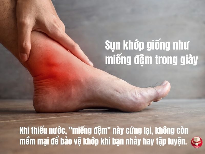 Vai trò của hydrat hóa trong bảo vệ khớp và phòng ngừa chấn thương