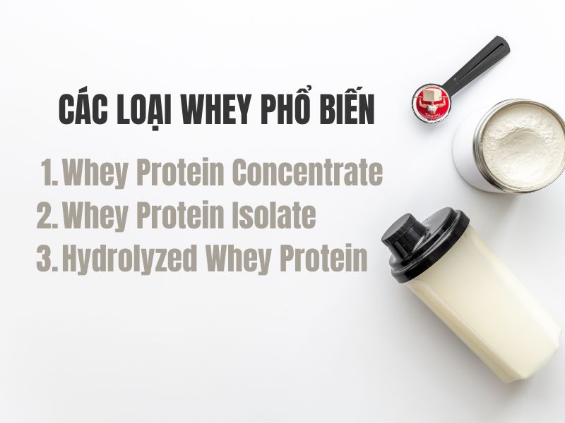 Top 9 loại Whey Protein tốt nhất 2025 cho người tập Calisthenics chuyên gia khuyên dùng 15 3 loại whey protein phổ biến