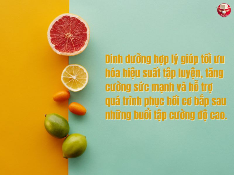 Top 9 loại Whey Protein tốt nhất 2025 cho người tập Calisthenics chuyên gia khuyên dùng 14 Chế độ dinh dưỡng đóng vai trò quan trọng không kém gì kỹ thuật tập luyện trong Calisthenics